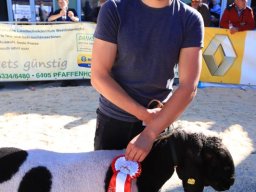 2019_ausstellung polling_649